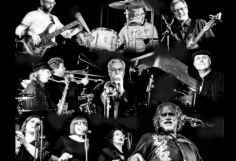 Joe Cocker Tributeband beim Musiksommer Musikercollage von Sheffield Steel