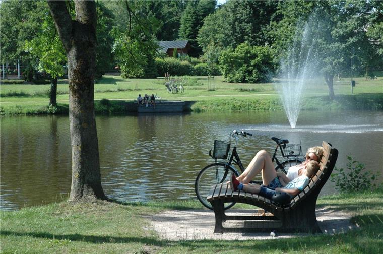 Mühlenteich-Gelände in Sittensen soll verschönert werden Mühlenteich-Gelände in Sittensen soll verschönert werden
