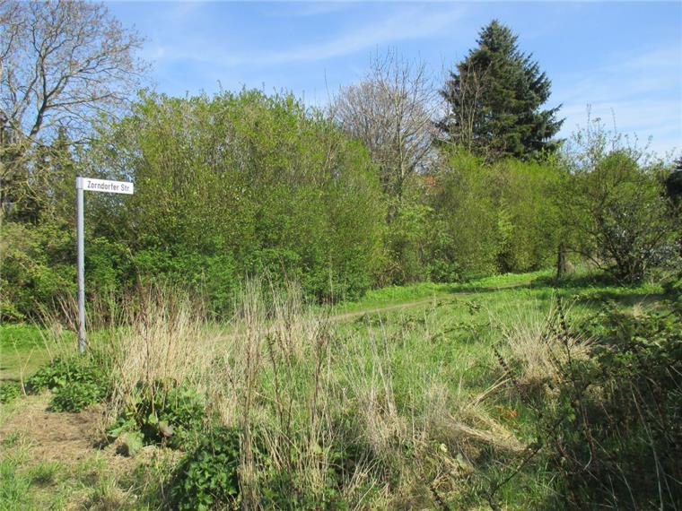 Zukunftswerkstatt für den "Leher Dschungel" Das "Auenland" zwischen Eckernfeld und Hafenrand bietet Idylle pur und auch verwahrloste Gärten als Müll- und Schrotthalden. Die Stadt will das ganze Gelände aufwerten und auch Baugrundstücke anbieten.