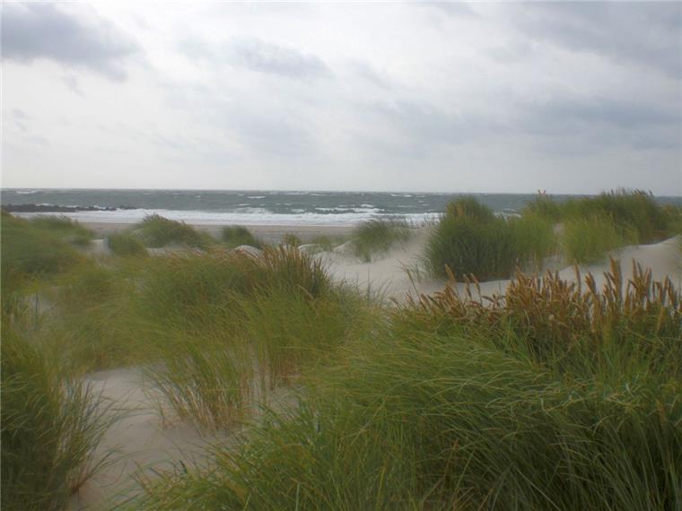 Überirdische Leckerbissen und unterirdische Bunker - ab nach Helgoland! Überirdische Leckerbissen und unterirdische Bunker - ab nach Helgoland!