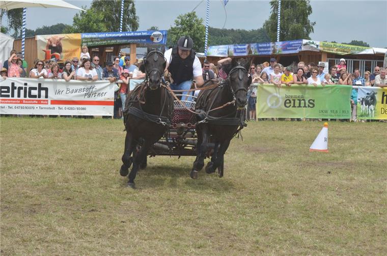 Tarmstedter Ausstellung: Kutschen wirbeln mächtig Staub auf Tarmstedter Ausstellung: Kutschen wirbeln mächtig Staub auf
