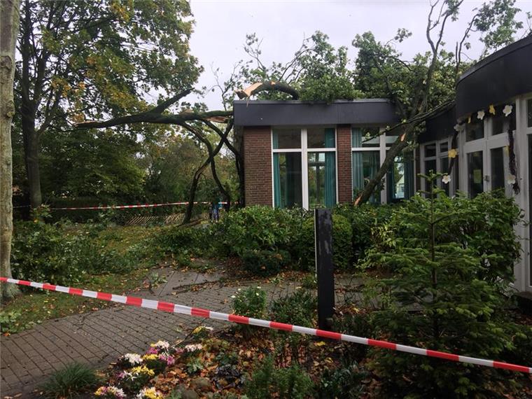 Umgestürzte Bäume, Dach abgedeckt: Sturm Xavier wütet in Bremerhaven und umzu