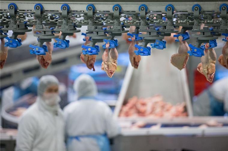 Wiesenhof investiert in Kunst-Fleisch aus der Petrischale