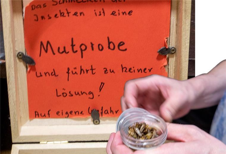 Mission: Im Dschungel dem schnöden Alltag entfliehen Mutprobe