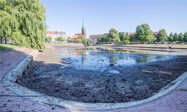 Gartenbaustadtrat Maurice Müller hob hervor, dass bei der Sanierung die historische Ufergestaltung berücksichtigt worden sei. Das Ufer des Holzhafens in Bremerhaven wurde abgeflacht, zum Teil mit Steinschüttungen befestigt und bepflanzt.