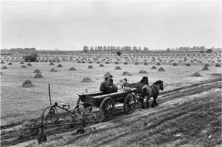 Im Museum Nordenham: Fotos aus einer verschwundenen Welt Im Museum Nordenham: Fotos aus einer verschwundenen Welt