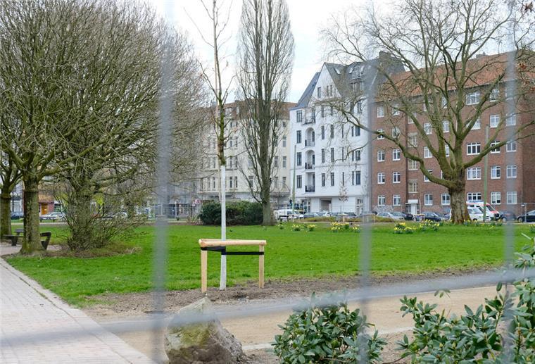 52 junge Zerr-Eichen auf dem Waldemar-Becké-Platz gepflanzt 52 junge Zerr-Eichen auf dem Waldemar-Becké-Platz gepflanzt