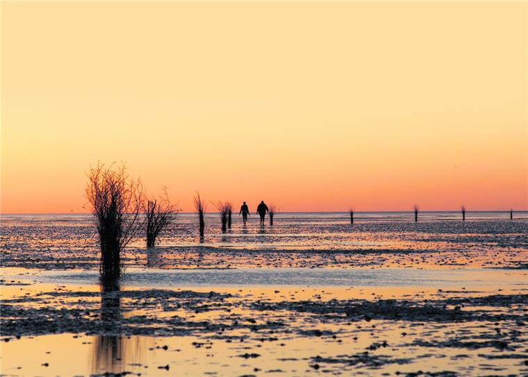 10 Dinge, die ihr beim Wattwandern beachten solltet