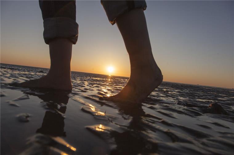 10 Dinge, die ihr beim Wattwandern beachten solltet