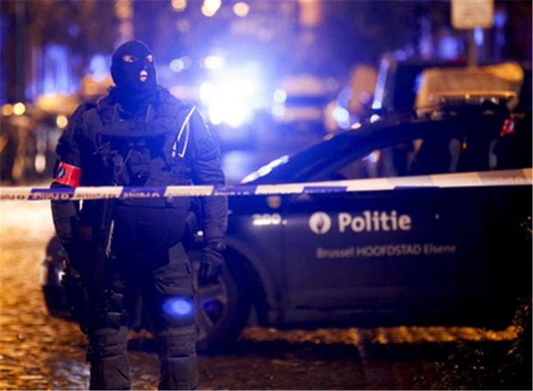 Katzenbilder - Brüssels lustige Antwort auf den Terror Katzenbilder - Brüssels lustige Antwort auf den Terror