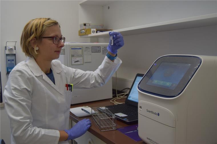 Biologin Lisa Neffe untersucht im Bremerhavener Labor von Dr. Schuhmacher Proben, die das Norovirus enthalten könnten.