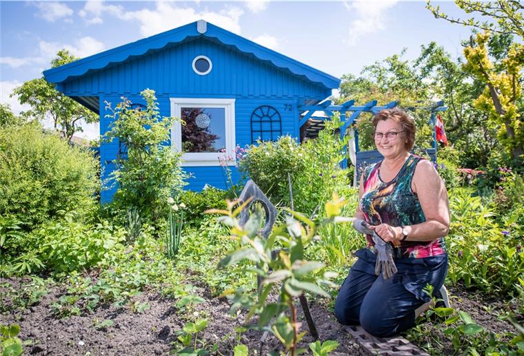 Birgit Elias freut sich trotz der Kontaktbeschränkungen über den Gartenzaun im Gartenverein Geesthelle mit ihren Nachbarn in Kontakt bleiben zu können.
