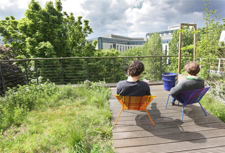 Rekord-Zuschuss für Klimaschutz: Bis zu 10.000 Euro vom Staat Auf dem begrünten Dach eines Öko-Hauses des Architekten Frei Otto sitzt ein Paar am