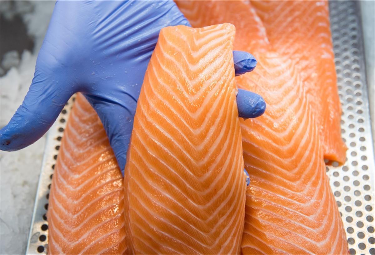 Bisher kennen die Verbraucher nur Wildlachs oder die Filets aus der Aquakultur. Doch auch Lachszellen lassen sich klutivieren.