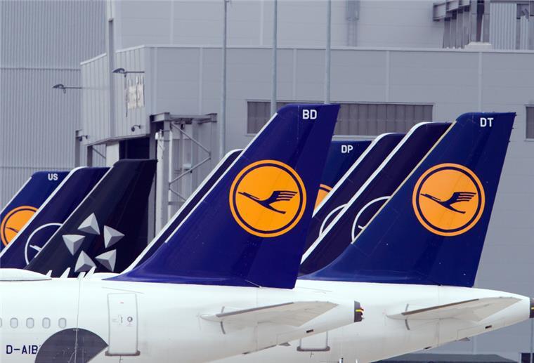 Mehrere Lufthansa-Flugzeuge stehen nebeneinander.