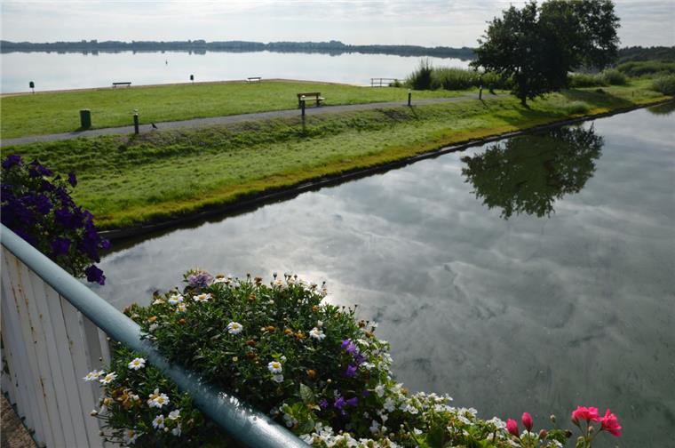 Blaualgen auch auf dem Beerster Kanal: Deshalb muss unter anderem das Drachenbootrennen beim Seefest abgesagt werden.