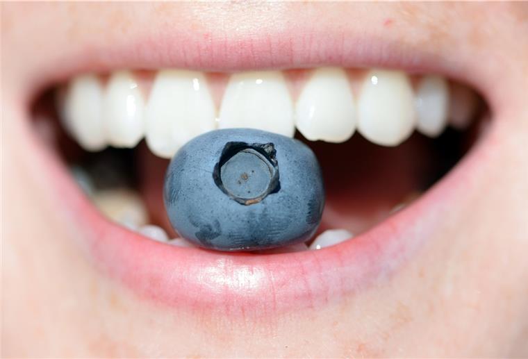 Ein Erntehelfer mit einer Handvoll Blaubeeren. 