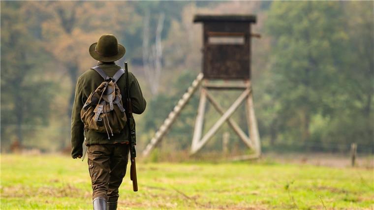 Jagd mit bleihaltiger Munition von April an verboten Bleihaltige Büchsenmunition und bleihaltige Flintenlaufgeschosse dürfen in Niedersachsen vom 1. April an nicht mehr eingesetzt werden. (Archivbild)