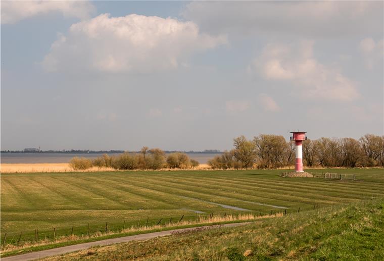 Blick auf das Deichvorland und die Elbe in dem Bereich, in dem ein Tunnel unter der Elbe durchlaufen soll.