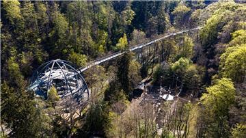 Blick auf den Baumwipfelpfad Harz.