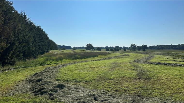 Nach Fund einer Kinderleiche: Todesursache noch unklar Blick auf eine abgemähte Wiese nahe des Fundeortes einer Kinderleiche im Landkreis Stade.