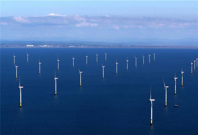 Blick auf einen Offshore-Windpark.