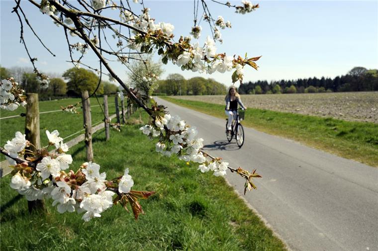 Radwandern wird noch schöner Blütenduft in der Nase und Vogelgezwitscher im Ohr: Radfahren wie hier in Drangstedt ist ein Naturerlebnis und soll im neuen Radwegenetz noch schöner werden.