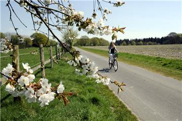 Blütenduft in der Nase und Vogelgezwitscher im Ohr: Radfahren wie hier in Drangstedt ist ein Naturerlebnis und soll im neuen Radwegenetz noch schöner werden. 