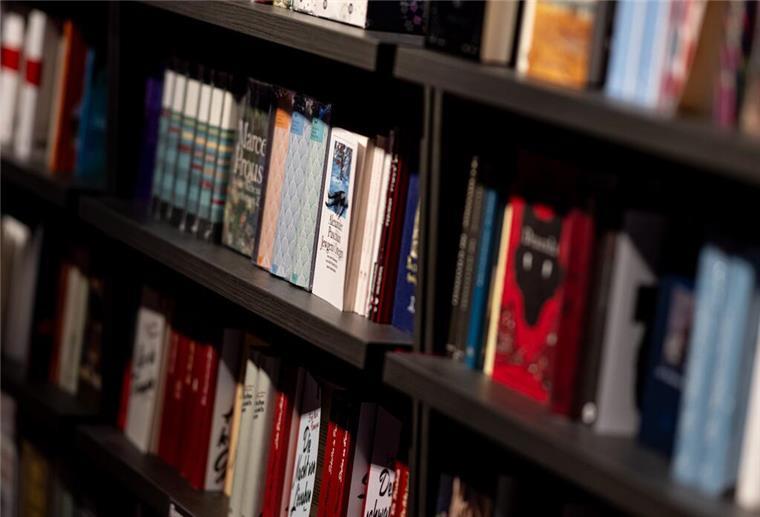 Bücher sind wieder cool: Wie BookTok den Buchmarkt verändert hat ARCHIV - 15.05.2024, Berlin: Bücher liegen in einem Buchladen in der Auslage. (zu dpa: «Warum Bücher wieder cool sind») Foto: Fabian Sommer/dpa +++ dpa-Bildfunk ++