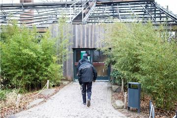 Brandermittler der Polizei gehen in das abgebrannte Affenhaus des Krefelder Zoos. 