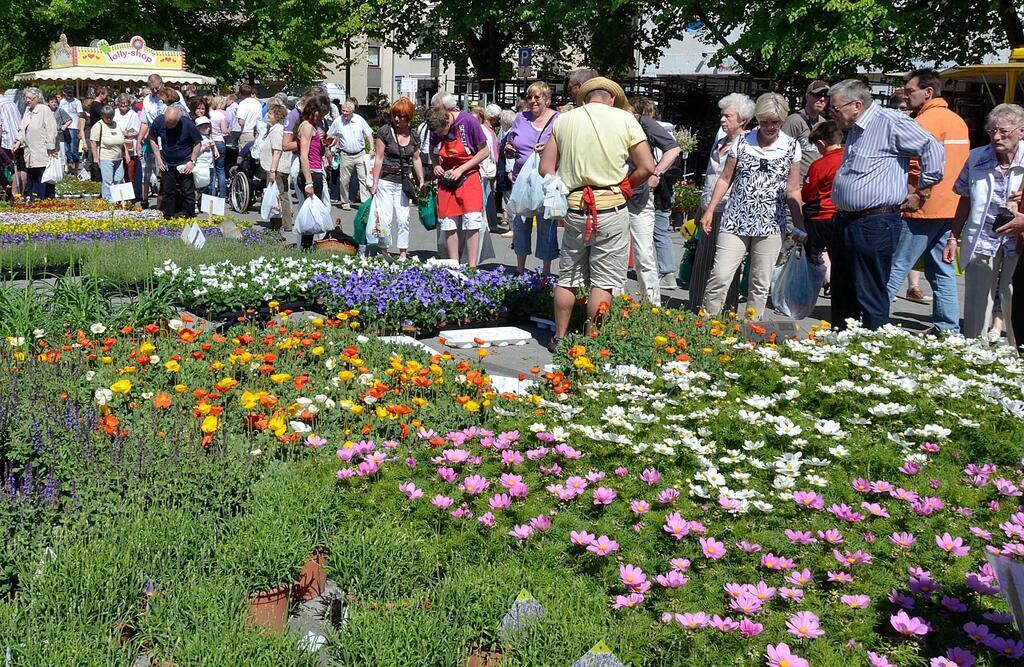 Blütenfest Geestemünde, Konrad-Adenauer-Platz