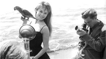 Brigitte Bardot wird während der Filmfestspiele von Cannes in den Fünfzigern am Strand mit einem Papagei in der Hand fotografiert. (Archivfoto) 