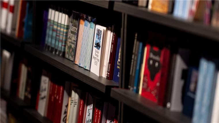 Romantik und Fantasy auf Booktok beliebt Bücher, die keinen Farbschnitt haben, werden fast schon links liegen gelassen, berichtet Julia Kniep vom dtv. (Archivbild)