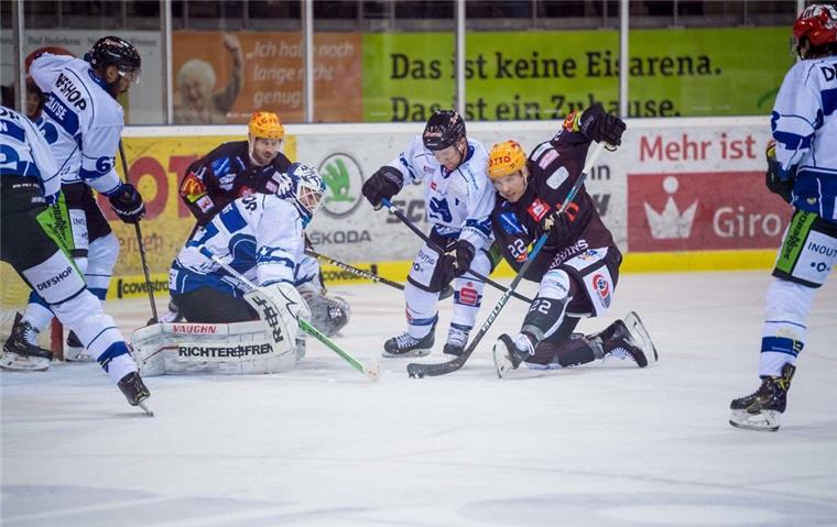Pinguins stutzen Tigers die Krallen Chad Nehring (Mitte) lieferte sich mit den Pinguins einen heißen Kampf mit den Straubing Tigers.
