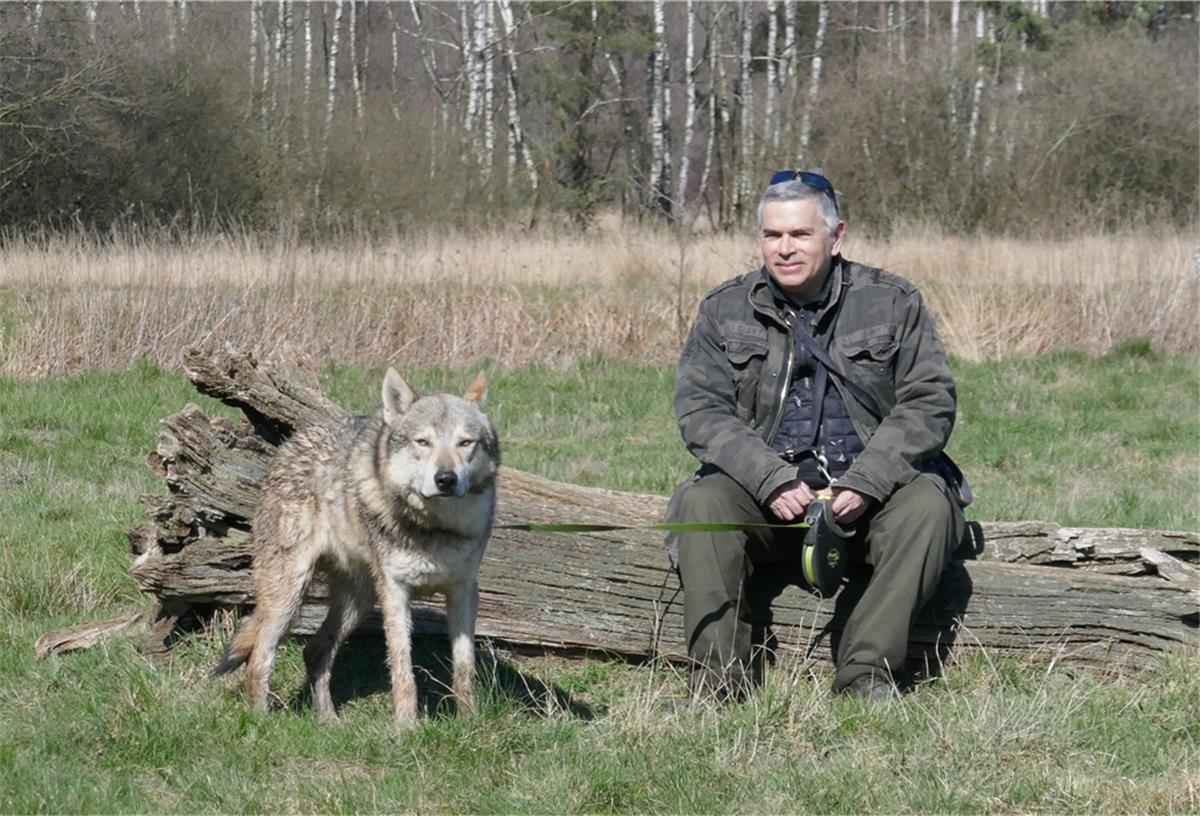 Wolf: Aktivist fordert besseren Schutz der Nutztiere Christian Berge, einer der bekanntesten Wolfsschützer Deutschlands, wirft Umweltminister Lies vor, mit der Angst der Menschen zu spielen. Er fordert Schutzzäune statt Abschuss. Foto: privat