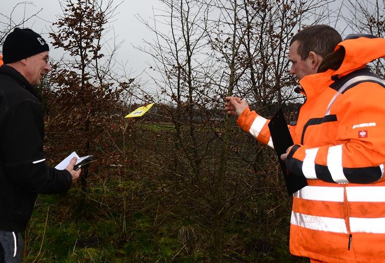 Einsatz für die Landschaftspflege Christian Reil (links) und Andreas Kühn schauen bei jedem Gewächs genau hin. Den Weißdorn erkennen die beiden auch im Winter schnell anhand der Früchte und Dornen.