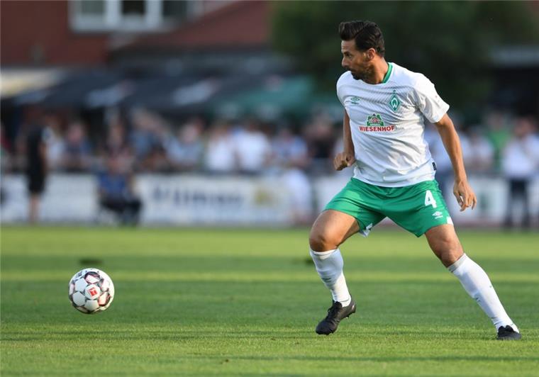 Offensiv-Trio fehlt Werder gegen Mainz Claudio Pizarro ist eine der drei Offensivkräfte, die gegen Mainz ausfallen.