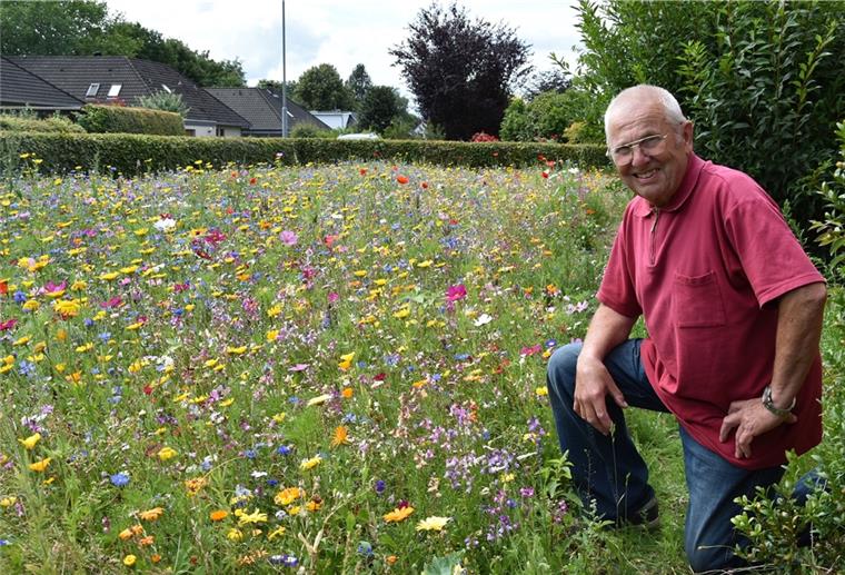 Tarmstedt: Rentner schafft ein Paradies für Insekten Cord Heinrich Wacker aus Tarmstedt blickt zufrieden auf das rege Insektenleben auf seiner neuen Blühwiese. „Hier finden die Bienen wieder was.“