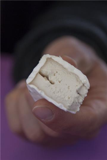 Corpus Delicti: Sieht aus wie Käse, besteht aber nicht aus Milch sondern Cashewnüssen.
