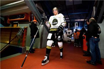 Curtis Gedig spielte in der vergangenen Saison noch mit den Stavanger Oilers (Norwegen) in der Champions League. Künftig läuft der offensivstarke Verteidiger für die Fischtown Pinguins auf.