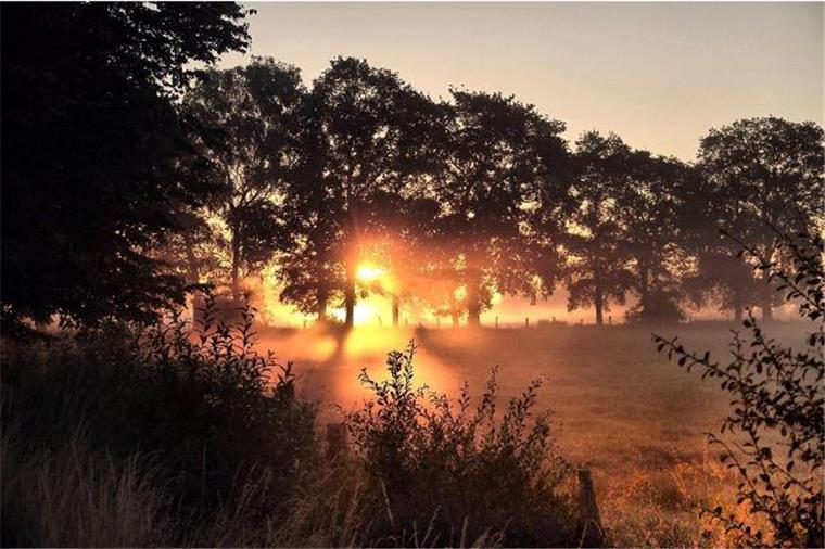 Wow! Das sind die schönsten Sonnenaufgänge aus der Umgebung Da fehlen einem die Worte: Dieser Sonnenaufgang wurde in Lintig aufgenommen.