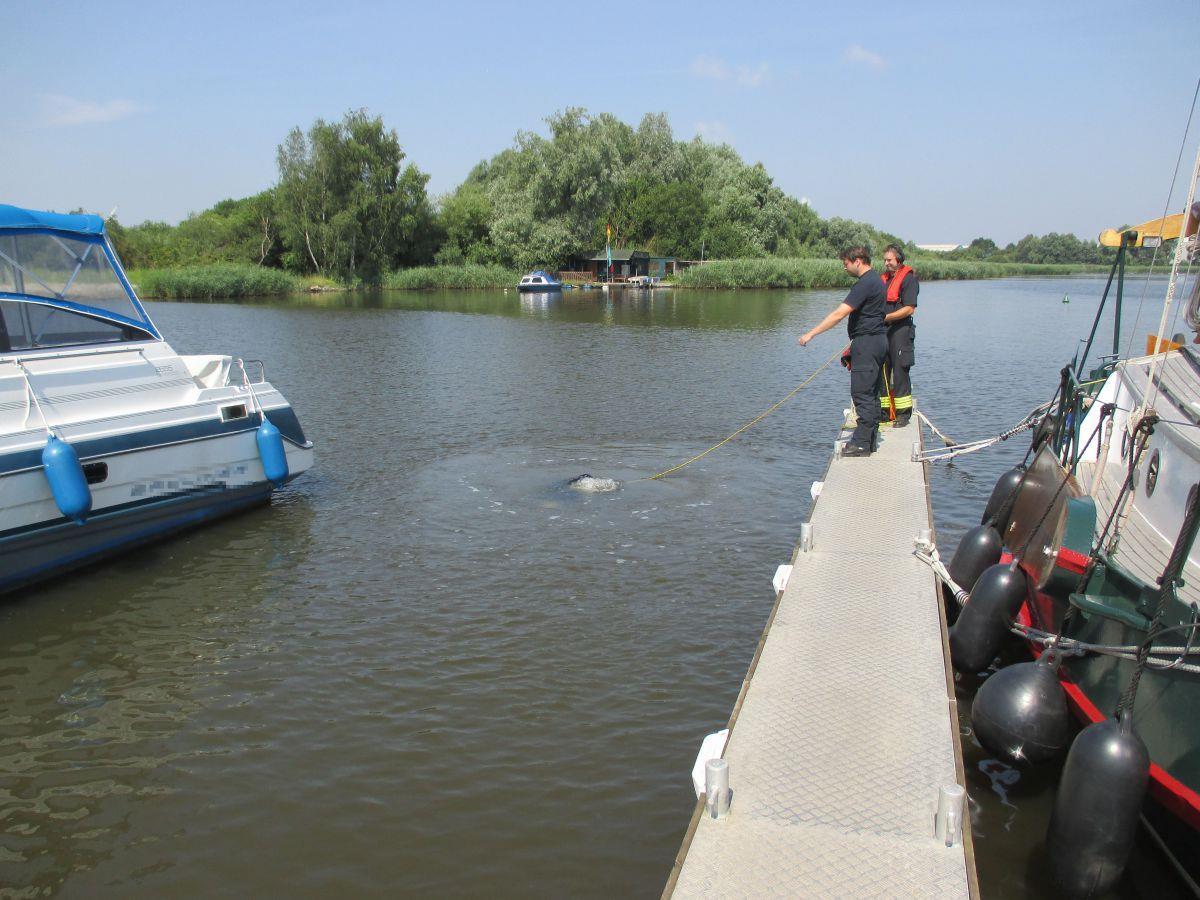 Auf Tauchstation - Sportboot im Fischereihafen gesunken Da irgendwo muss es sein. In der Nacht zu Donnerstag ist ein rund zehn Meter langes Sportboot im Fischereihafen gesunken.