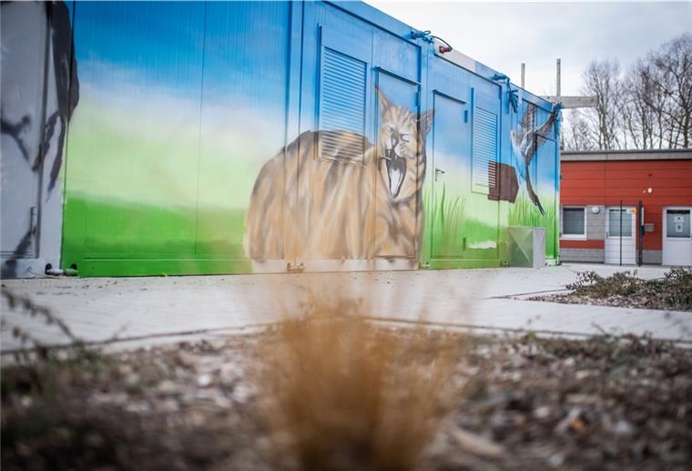 Bremerhaven: Graffiti-Künstler verschönern Tierheim Da kommt Freude auf: Tierische Graffiti-Kunst ziert die Container ds Tierheims.