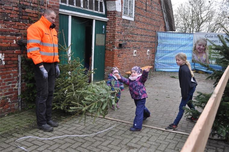 In Brake-Golzwarden fliegen die Tannenbäume durch die Lüfte Da nicht jeder der Teilnehmer einen eigenen Tannenbaum mitgebracht hatte, mussten einige Weitwerfer auf Bäume der Familie Hellmers zurückgreifen. Die hatte verschiedene Modelle vorrätig, für Männer, Frauen und Kinder.