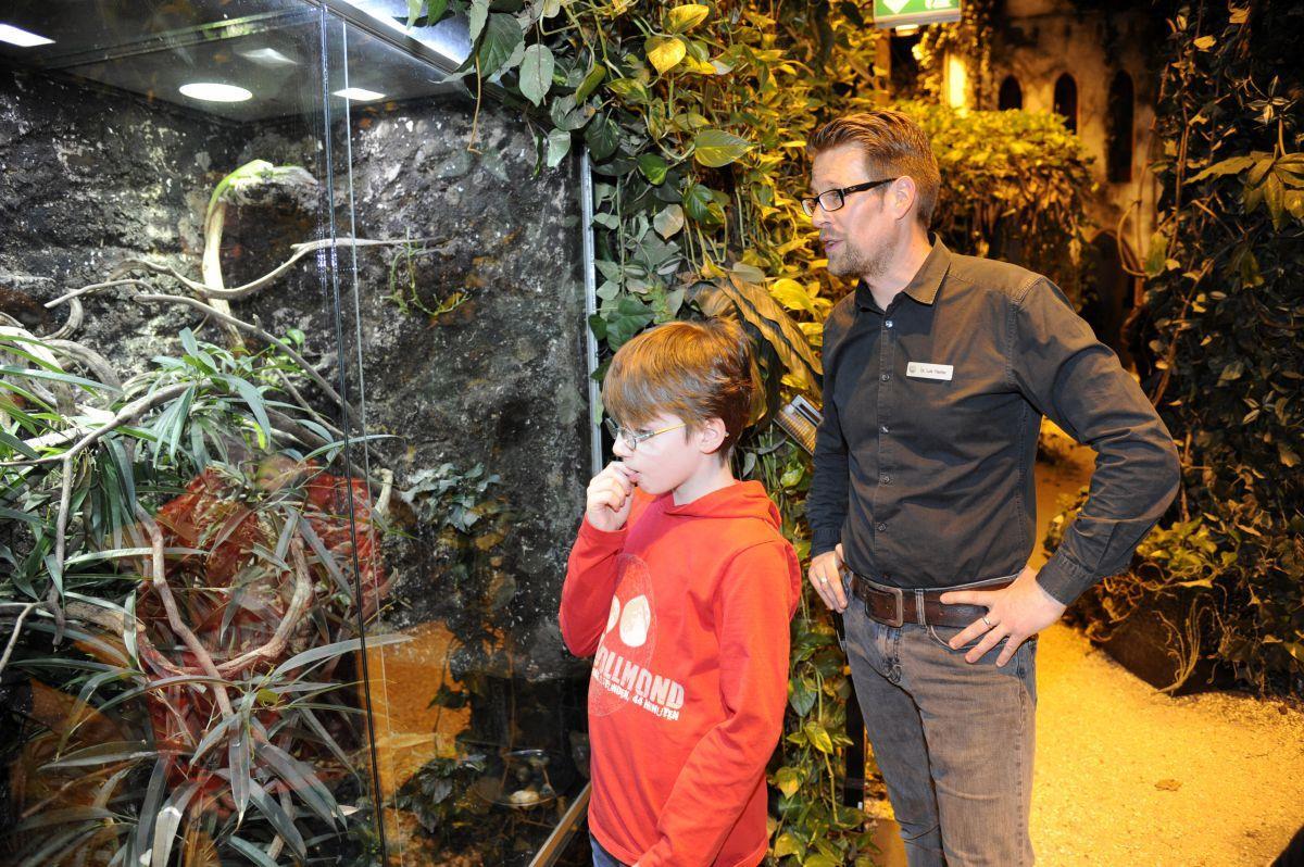 Junge aus Leherheide will den Regenwald retten „Da oben“, sagt Dr. Lutz Fischer, Leiter der Aquaristik im Klimahaus. Und „da oben“, da entdeckt Vincent dann zwei Leguane.