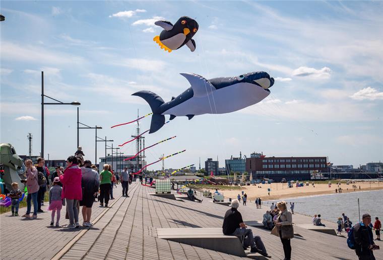 Dieses Wochenende Anfang Juni ist vollgepackt mit tollen Veranstaltungen Drachenfestival am Weserdeich in Bremerhaven