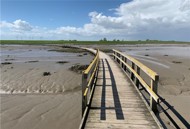 Langwarder Groden: Zwischen Vogelschau und Wattknistern Ein Steg am Wattenmeer.