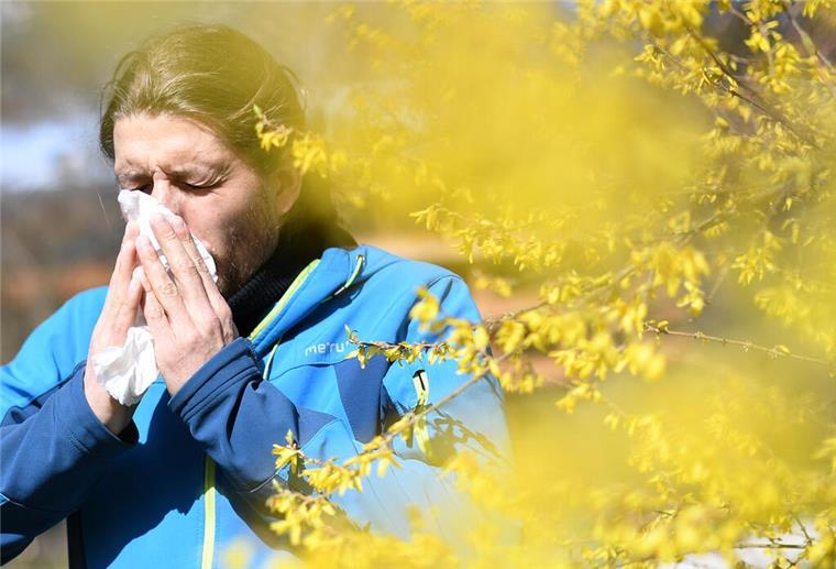 Diese neue App-Funktion hilft Allergikern bei der Pollenwarnung Eine Frau niest in ein Taschetuch. Ein Gebüsch ist ebenfalls auf dem Foto zu sehen.