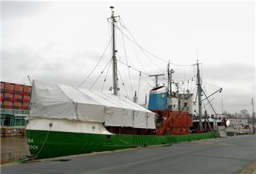 Das Achterschiff der "Gera" ist eingerüstet. Unter der Plane arbeiten Museumsmitarbeiter an der Decksversiegelung.