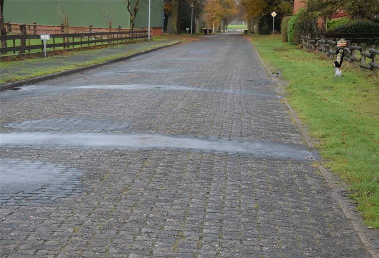 Blick auf die Ostereistedter Straße.